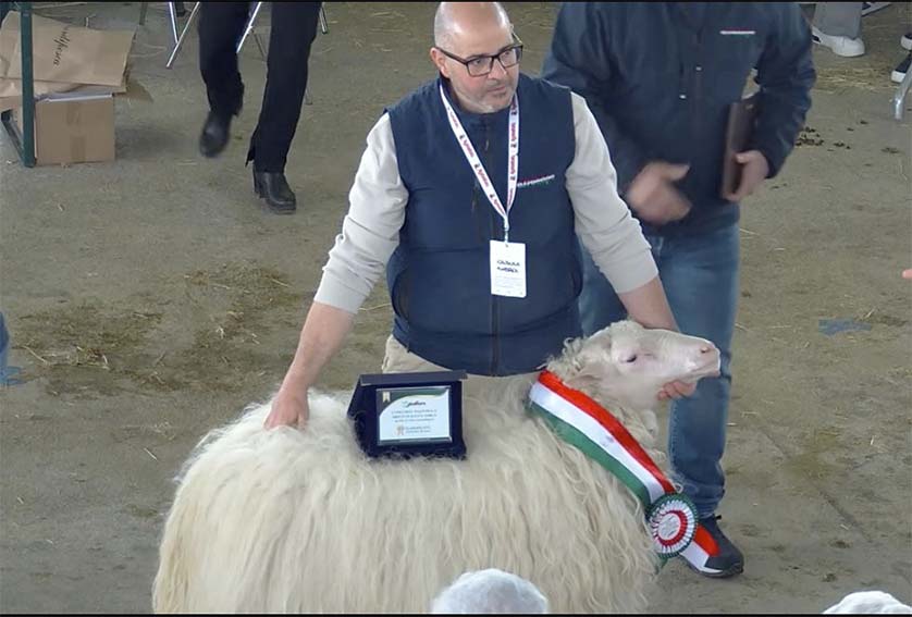 AgriUmbria Azienda F.lli Casula Oschiri