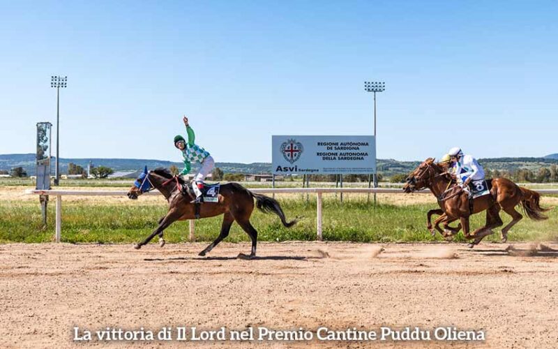 IL Lord vince Pr.Cantine Puddu 24 4 2026 F Prometeo