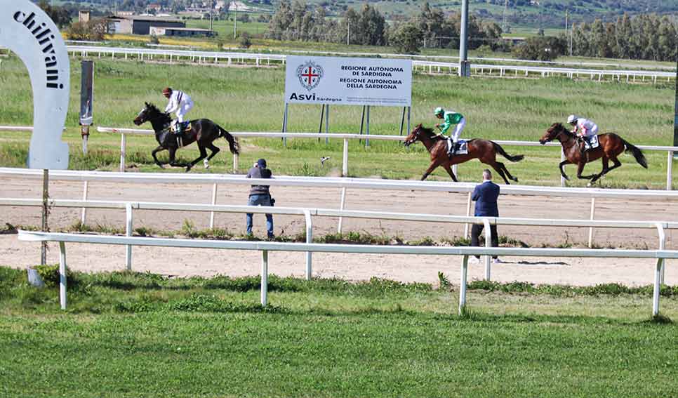 Ippodromo Chilivani, buon debutto dei puledri anglo arabi davanti a un folto pubblico 1 Ippodromo Chilivani arrivo di Ivilida