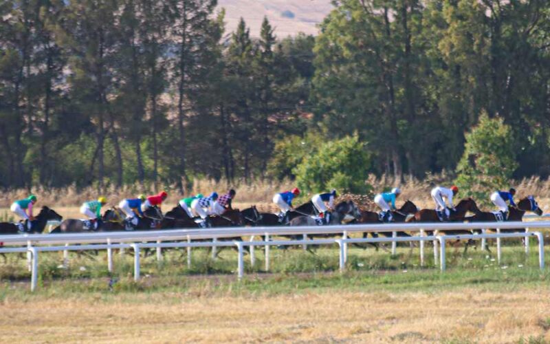 Ippodromo Chilivani cavalli