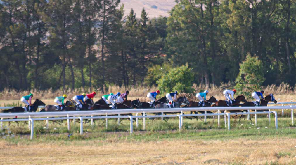 Ippodromo Chilivani cavalli