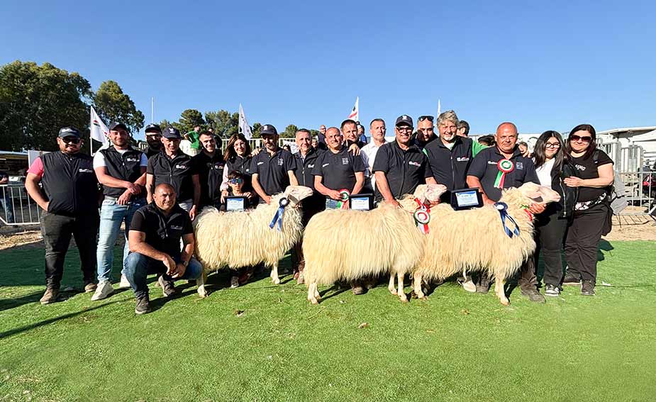 Ollastra concorso Ovini 2026