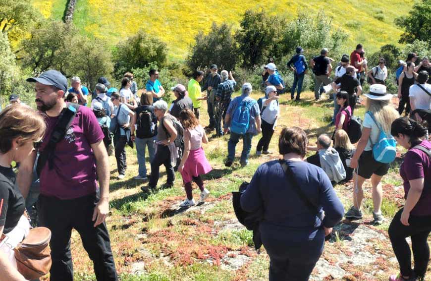 Passeggiata archeologica Ittireddu