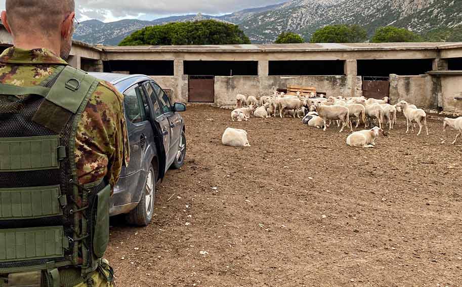 Carabinieri aziende agricole