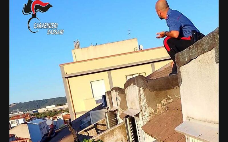 Tentato suicidio Olbia 2