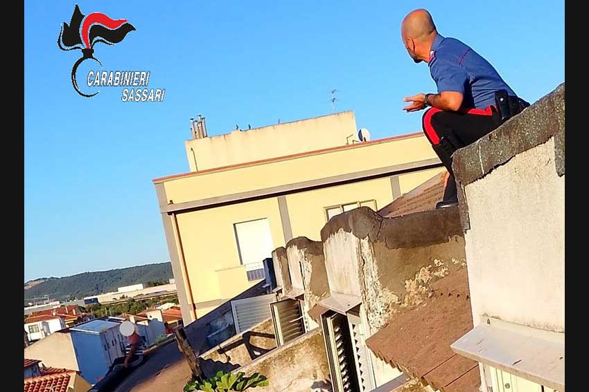 Tentato suicidio Olbia 2
