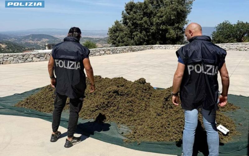 Arresto a Sarule Cannabis