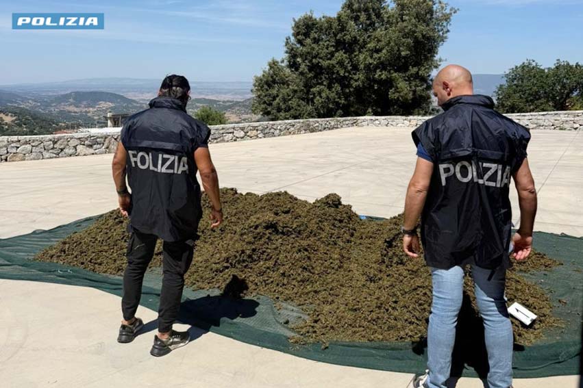 Arresto a Sarule Cannabis