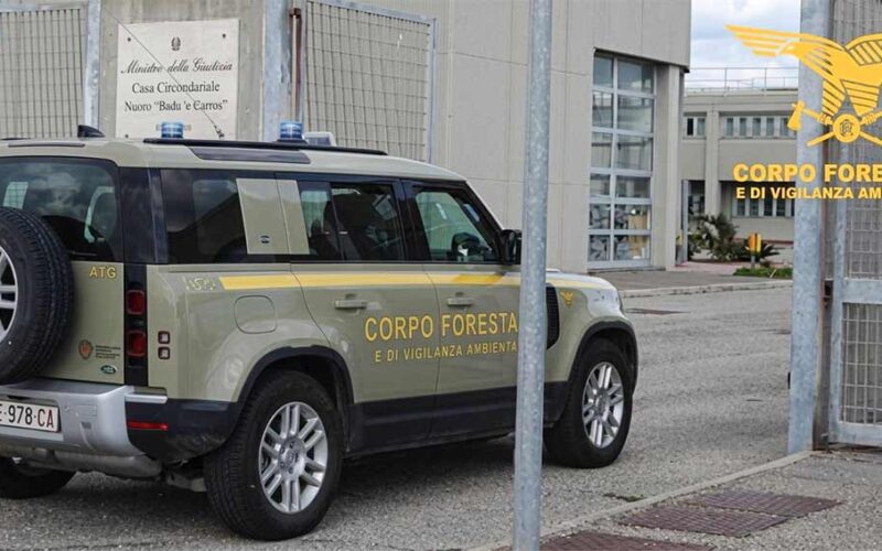 Corpo Forestale