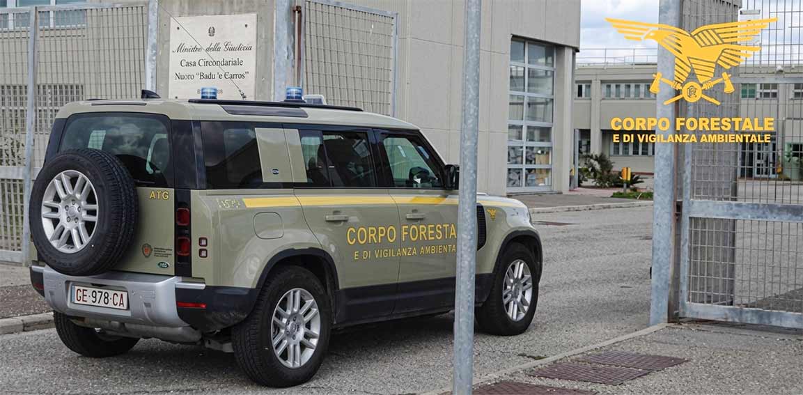 Corpo Forestale