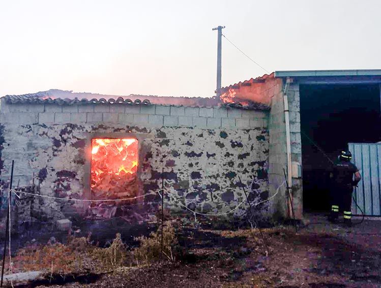 Il Nuorese e l’Ogliastra bruciano, aziende in ginocchio 3 Aziende distrutte incendio nuorese