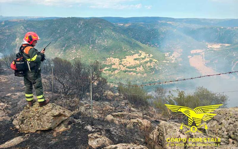 Corpo Forestale incendio