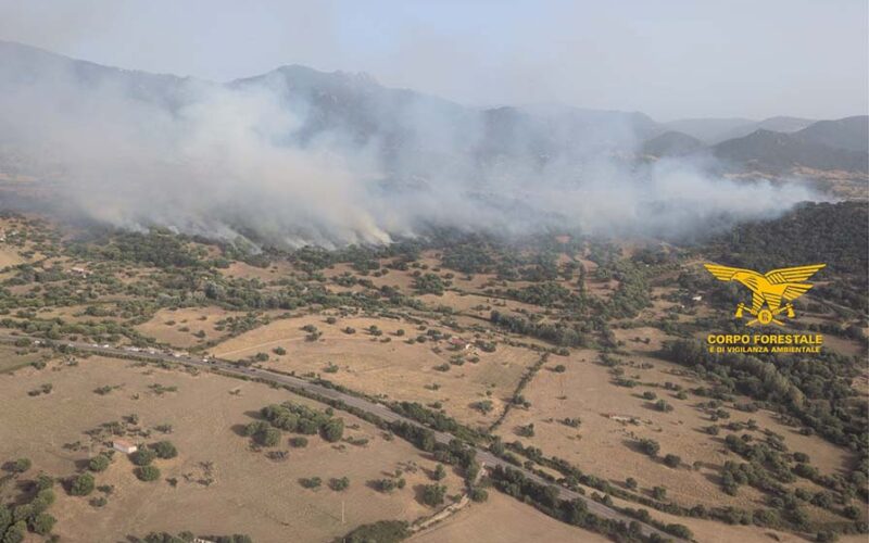 Incendio Olzai