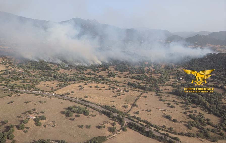 Incendio Olzai