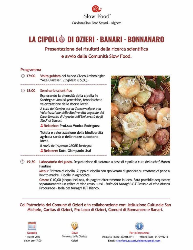 La cipolla di Ozieri, Banari e Bonnanaro al centro di uno studio scientifico 2 Locandina cipolla