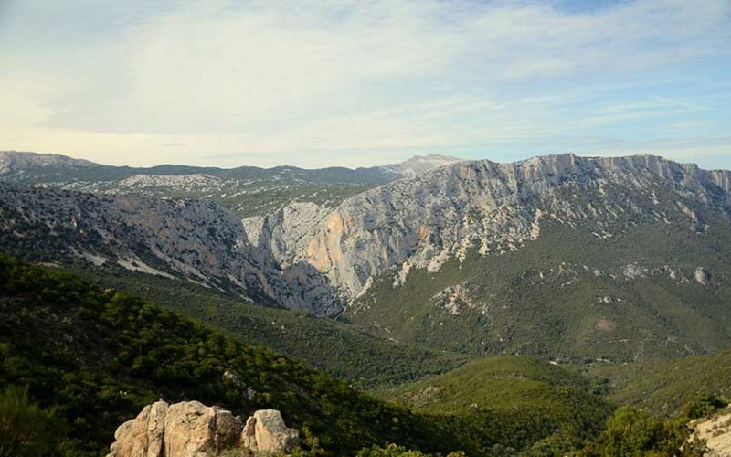 Bosco Sardegna