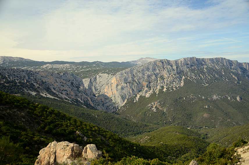 Bosco Sardegna