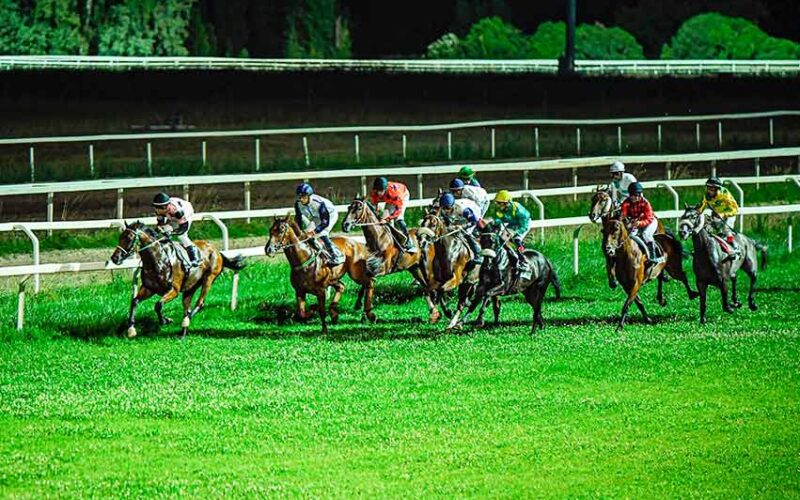 Corsa notturna Ippodromo Chilivani foto Prometeo