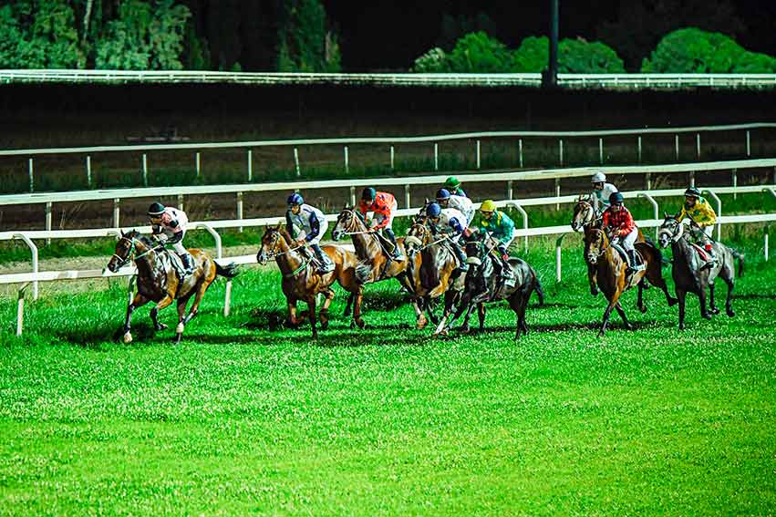 Corsa notturna Ippodromo Chilivani foto Prometeo