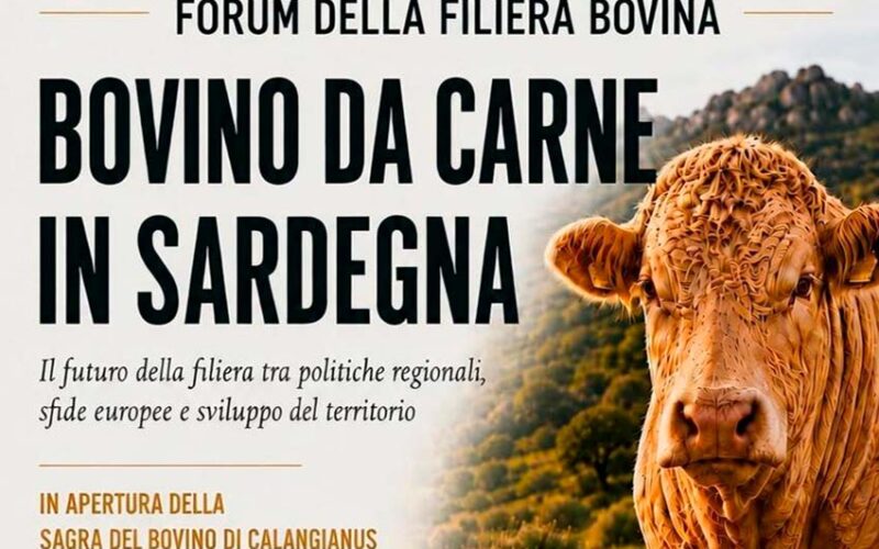 Forum filiera bovina a Calangianus