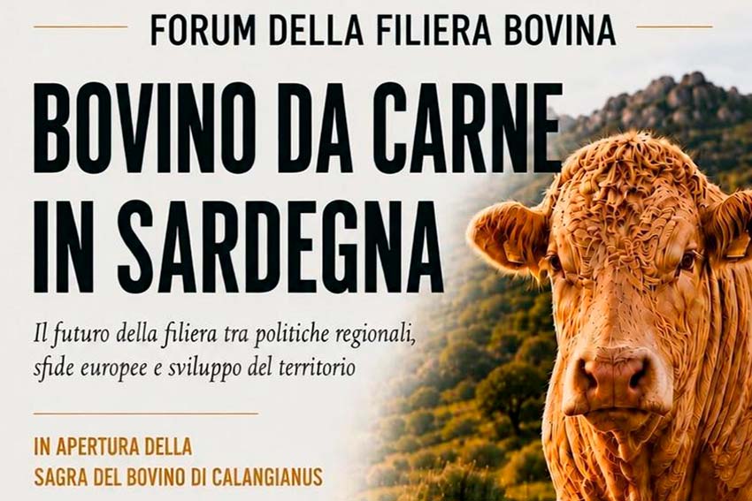Forum filiera bovina a Calangianus