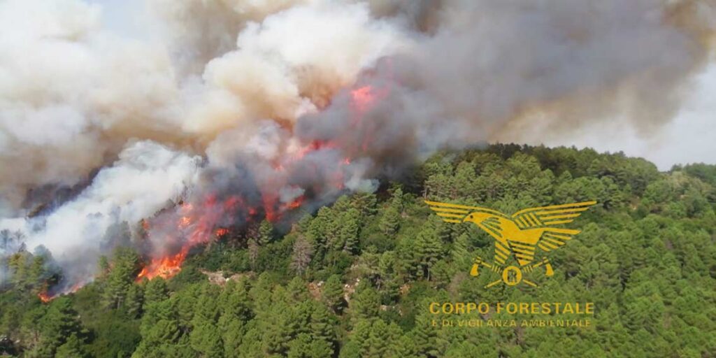 Incendio ad Arzana ed Elini, riprese questa mattina le operazioni di spegnimento 2 Incendio Arzana Elini