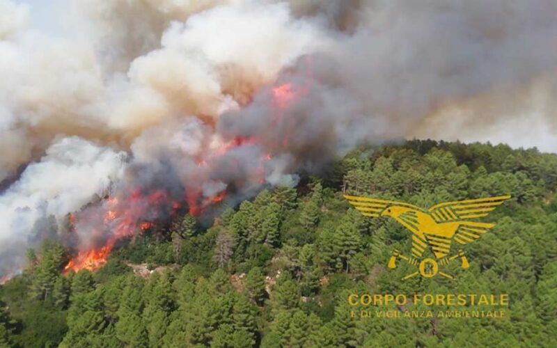 Incendio Arzana Elini