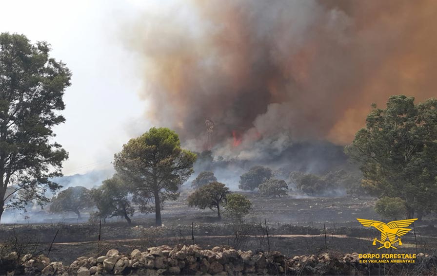 Vasto incendio a Giave, in azione elicotteri e canadair 2 Incendio Giave 2