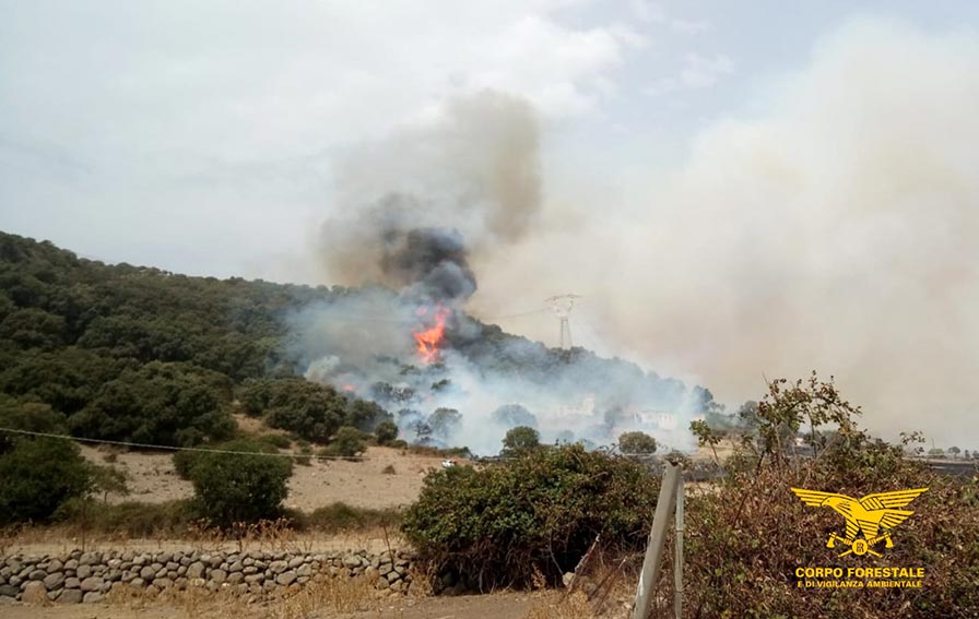 Vasto incendio a Giave, in azione elicotteri e canadair 4 Incendio Giave 3
