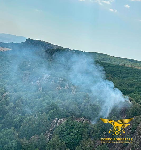 Ancora incendi in Sardegna: mezzi aerei in volo a Samugheo, Lei, Buddusò, Bultei, Villamassargia e Bortigiadas 2 Incendio Lei