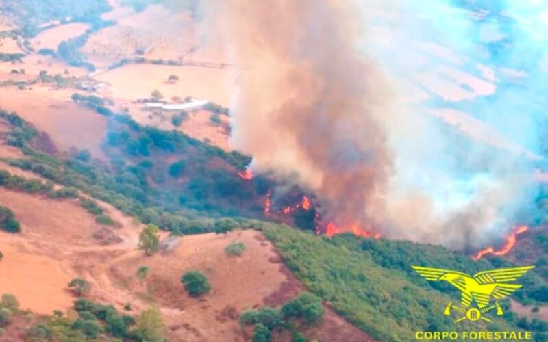 Incendio samugheo