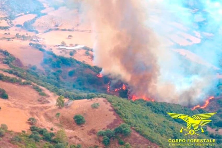 Incendio samugheo
