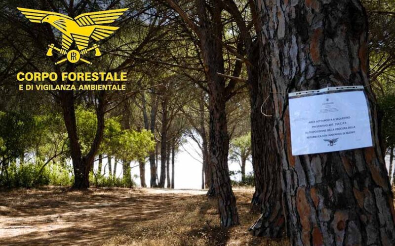 Pineta su Barone Orosei