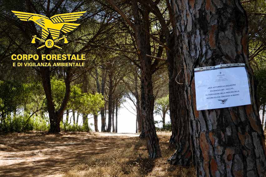 Pineta su Barone Orosei