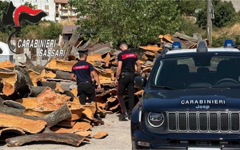 Sughero rubato Budduso Carabinieri