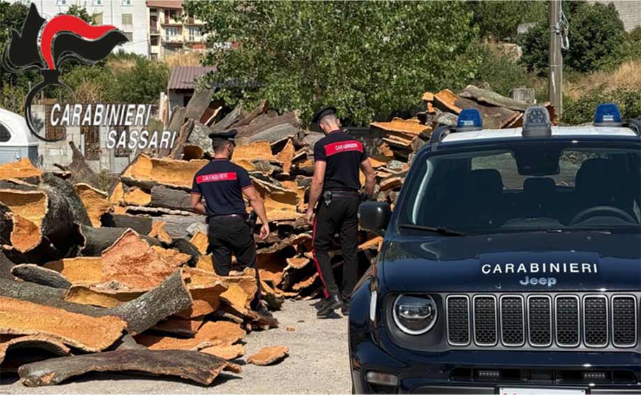 Sughero rubato Budduso Carabinieri