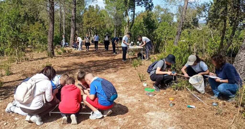 "CEAS aperti", ad Alà dei Sardi oltre 100 partecipanti 2 CEAS aperti Ala dei Sardi studenti