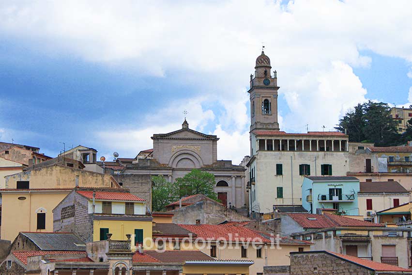 Panorama Ozieri cattedrale