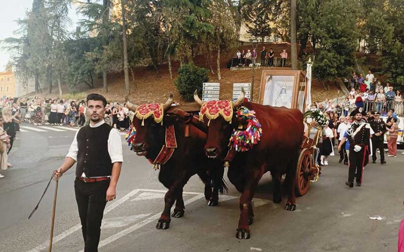 Processione Beata Vergine del Rimedio 2025