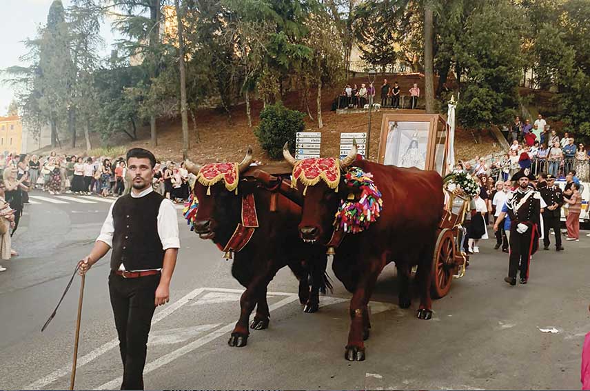 Processione Beata Vergine del Rimedio 2025