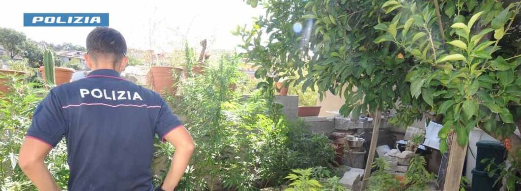 Sarule. Scoperto Laboratorio per la produzione di droga, arrestato un 45enne 2 Sarule arresto droga laboratorio
