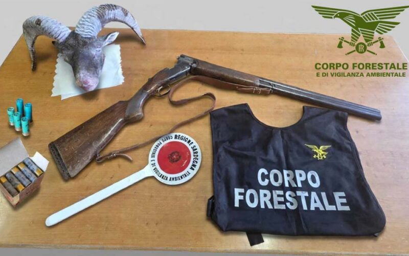 Bracconaggio due denunce a Gairo