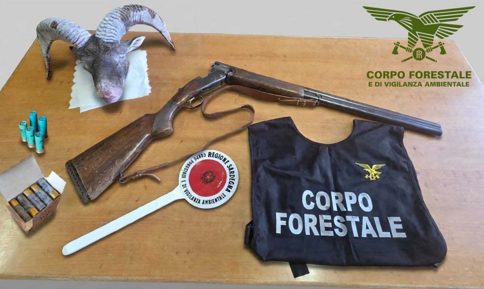 Bracconaggio due denunce a Gairo