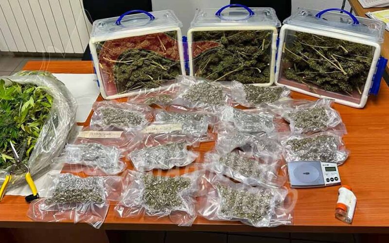 Marijuana sequestrata a Tonara arrestato 56enne