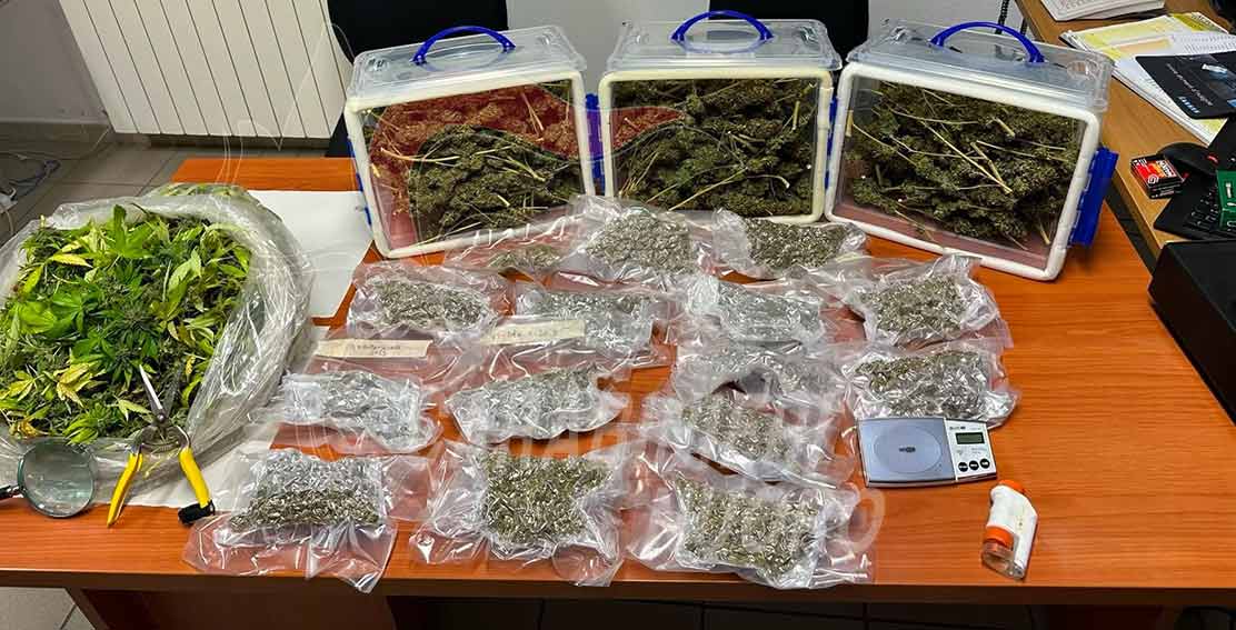 Marijuana sequestrata a Tonara arrestato 56enne