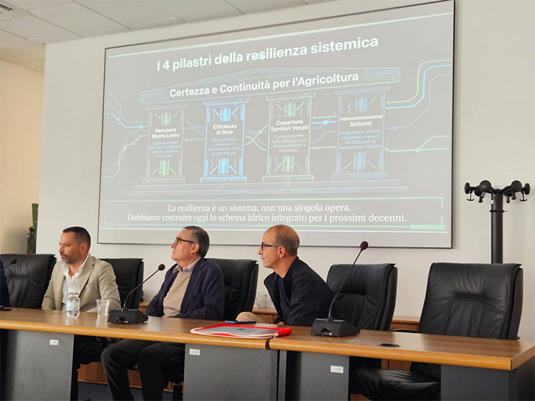 Monti. La Regione dice sì alla costruzione di una diga sul Rio S'Eleme 3 Rio SEleme convegno