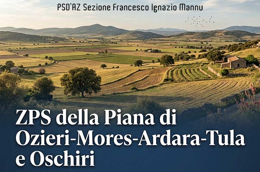 ZPS Convegno PSDAZ